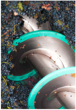 Our Vineyards
